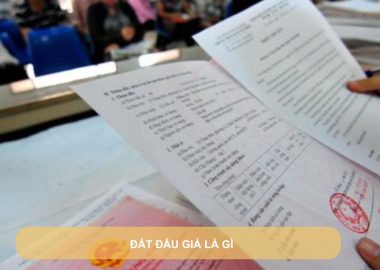 đất đấu giá là gì