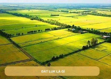 đất luk là gì
