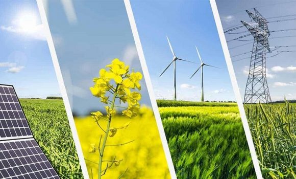 Hình ảnh Chủ đầu tư Xuân Phú Hải